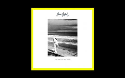 Recensioni Radioaktiv Shaman Elephant – Wide Awake But Still Asleep