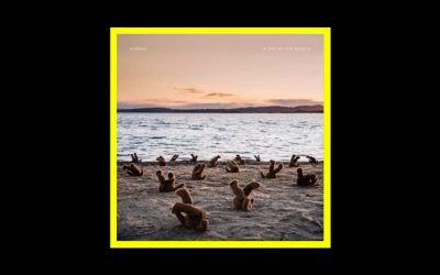 Recensioni Radioaktiv Airbag – A Day at the Beach