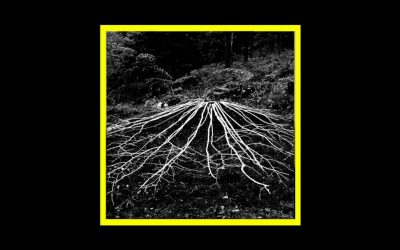 Recensioni Radioaktiv Nitritono – Eremo