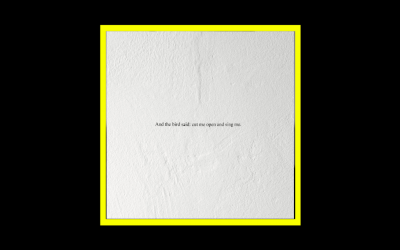 Recensioni Radioaktiv Prairie – And the Bird Said: Cut Me Open and Sing Me