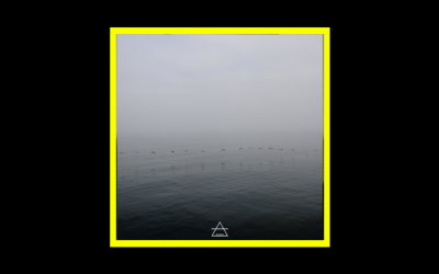 Recensioni Radioaktiv Calogero Aquilina – Draunara