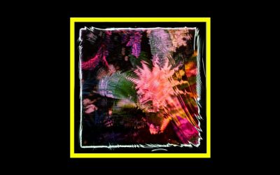 Recensioni Radioaktiv Camila Fuchs – Kids Talk Sun