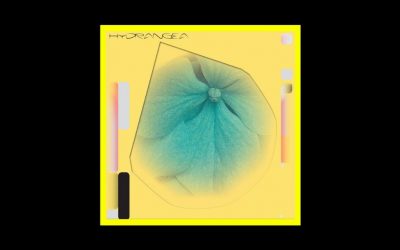 Recensioni Radioaktiv Holly Childs & Gediminas Žygus – Hydrangea