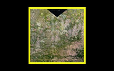 Recensioni Radioaktiv Olivia Belli – Flowers We Are