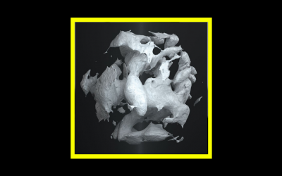 Recensioni Radioaktiv Penelope’s Fiancé – The Cutting Edge Of The Knife