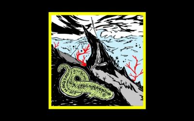 Recensioni Radioaktiv Repetita Iuvant – 3