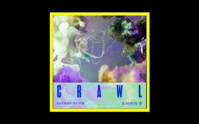 Recensioni Radioaktiv Submarine FM – Crawl