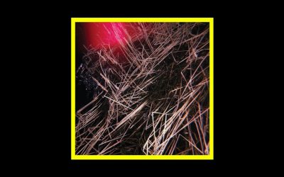 Recensioni Radioaktiv Kelly Moran & Prurient – Chain Reaction At Dusk