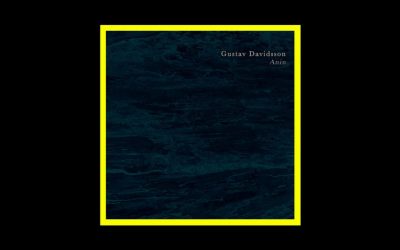 Recensioni Radioaktiv Gustav Davidsson – Anin