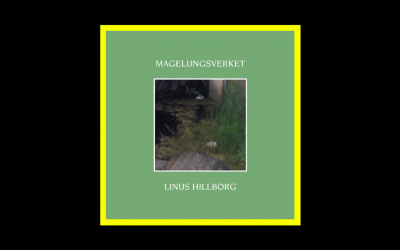 Recensioni Radioaktiv Linus Hillborg – Magelungsverket