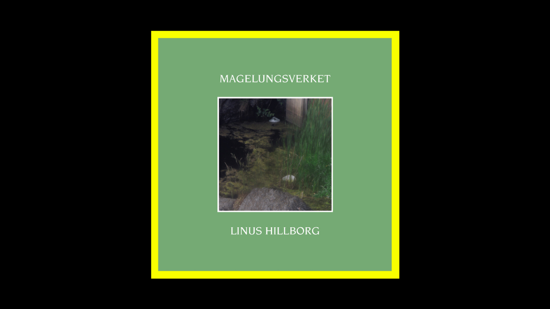 Linus Hillborg – Magelungsverket