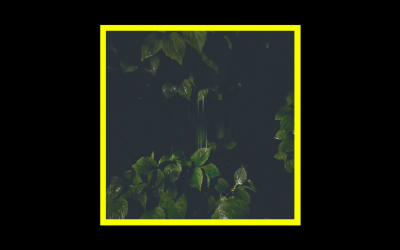 Recensioni Radioaktiv Martina Bertoni – Music For Empty Flats