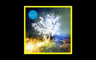 Recensioni Radioaktiv The Notwist – Vertigo Days