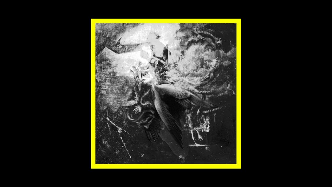 Massimo Silverio – O