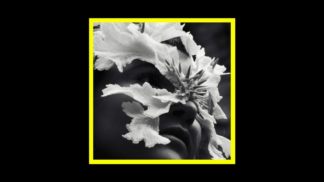 Synne Sanden & Øyvind Blikstad – Swallowed