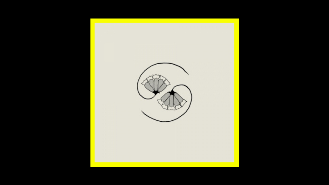 Godspeed You! Black Emperor – G_d’s Pee AT STATE’S END!