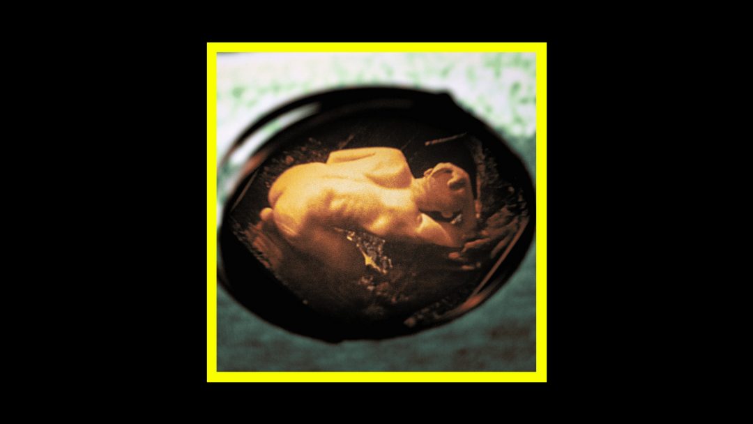 Palazzi D’Oriente – Sheltering Water