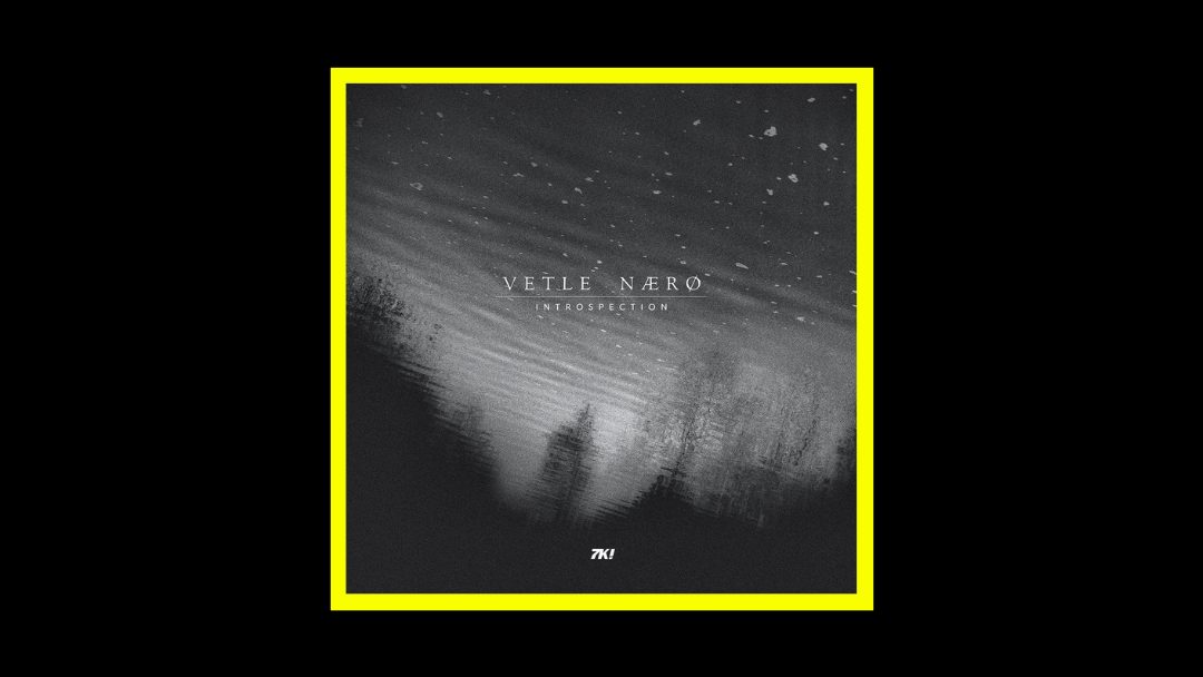 Vetle Nærø – Introspection