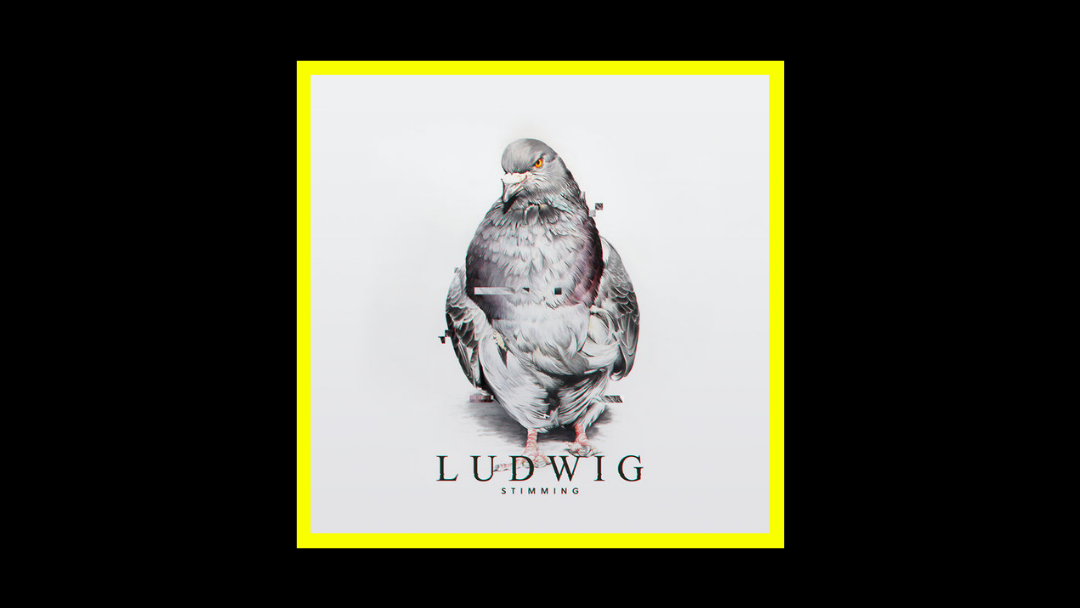 Stimming – Ludwig