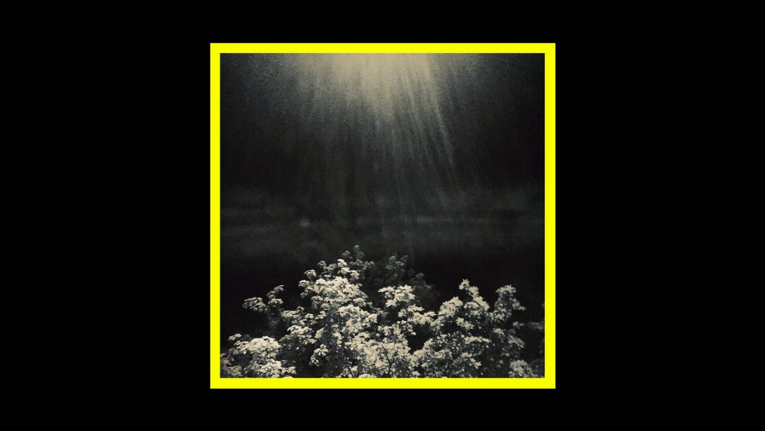 Blanket Swimming – Arioso