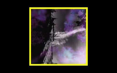 White Sleep – Everything Is Lucid