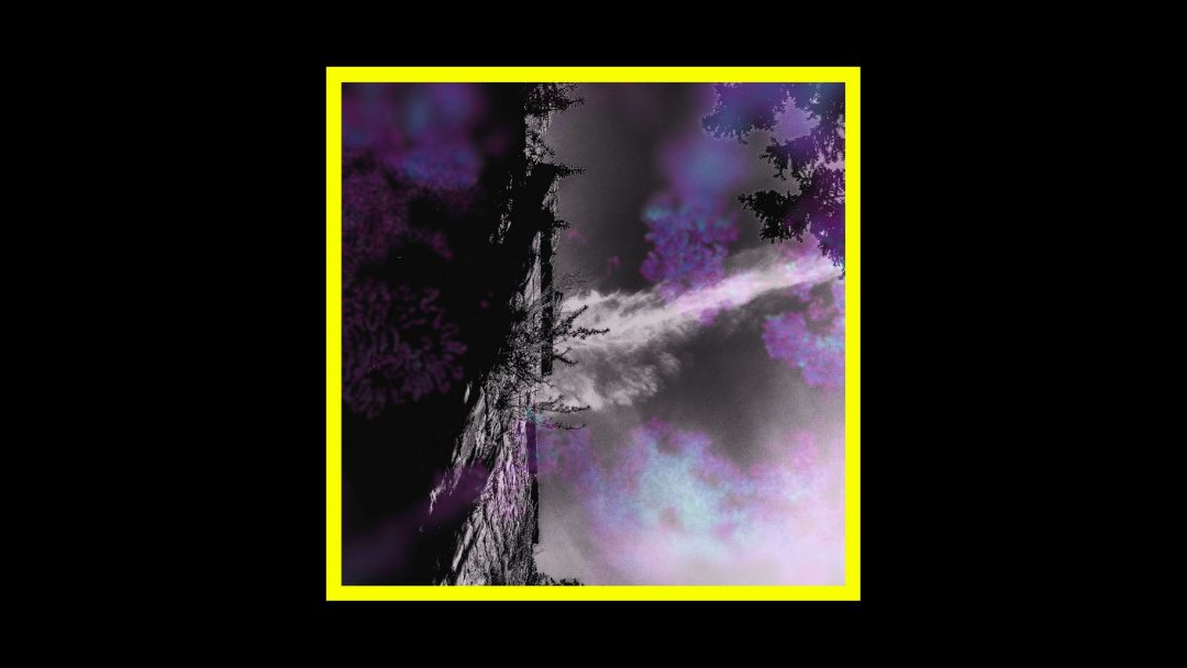 White Sleep – Everything Is Lucid