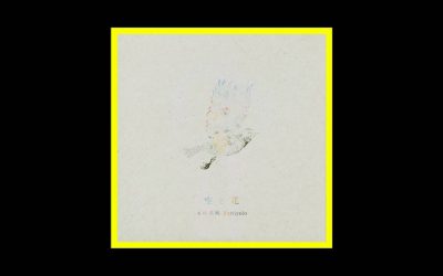 Miho Ota & Paniyolo – Sora to Hana