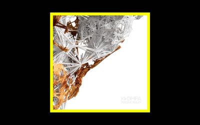 KHOMPA – Perceive Reality