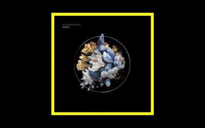 Alessandro Baris – Sintesi