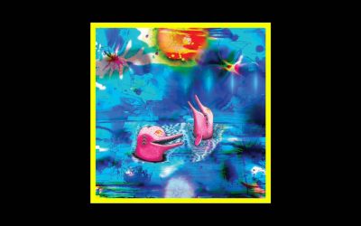 Anteloper – Pink Dolphins