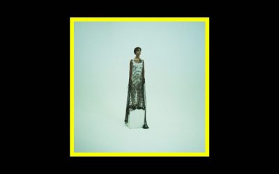 Ginevra Nervi – The Disorder Of Appearances