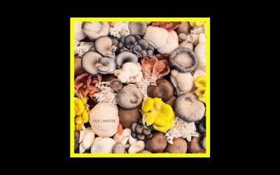 Suz –  Hiatus