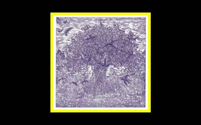 Lori Goldston – High and Low