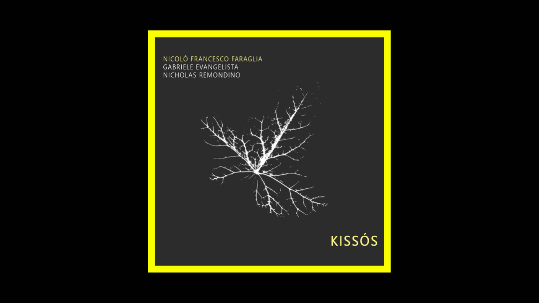 Nicolò Francesco Faraglia - Kiss​ó​s Radioaktiv