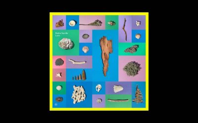 Robin Saville – Lore