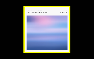 Alva Noto – This Stolen Country of Mine