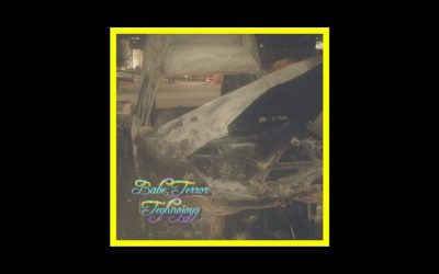 Babe, Terror – Teghnojoyg