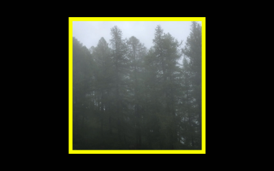Davide Cedolin – Oh the Pleasure with Trees