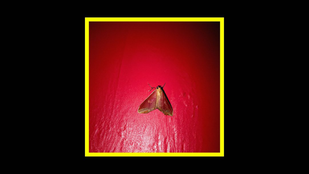 Prince Josh – Moth