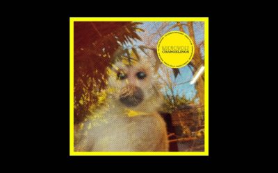 Microwolf – Changelings