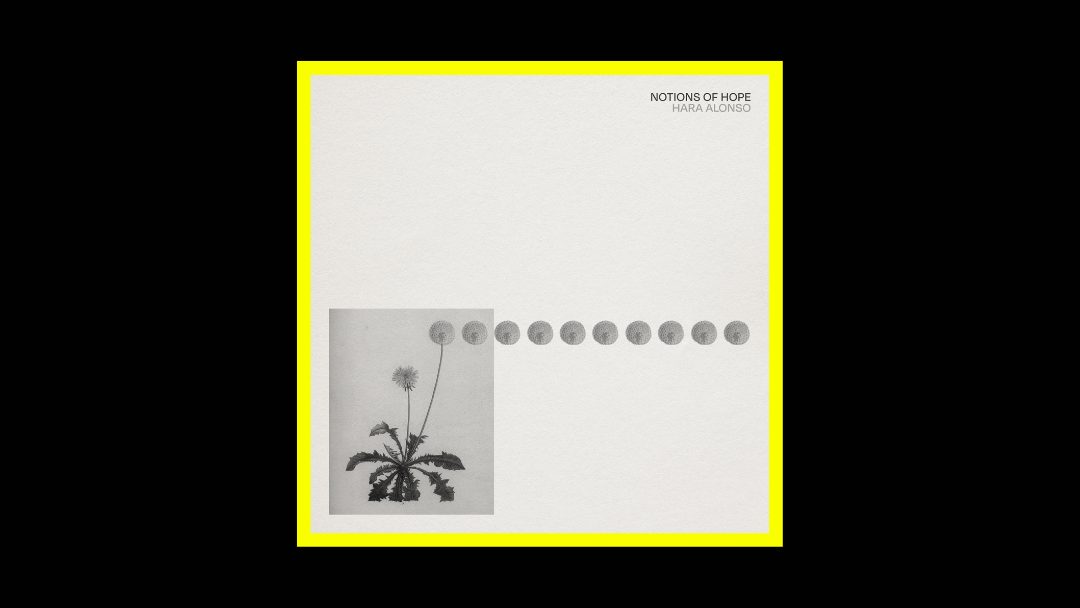 Hara Alonso – Notions of Hope