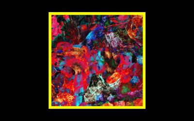 San Leo – AVES RARAS