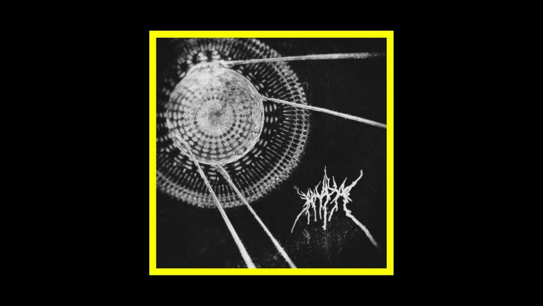 Cernichov – We are all deaf