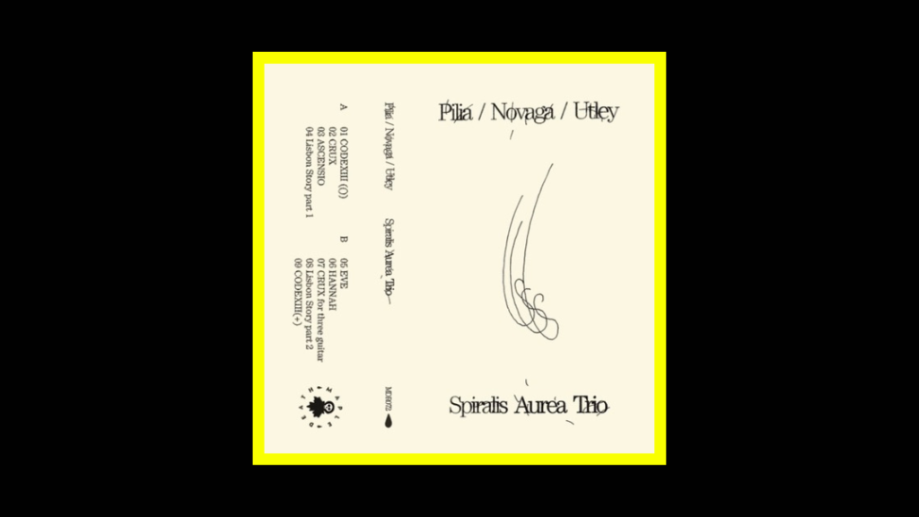 Stefano Pilia Alessandra Novaga Adrien Utley - Spiralis Aurea Trio Radioaktiv