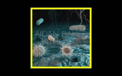 Aidan Baker – Pithovirii