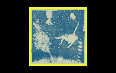 Iron & Wine – Light Verse