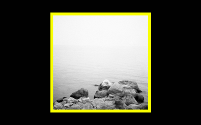 Danilo Ligato – Vurga