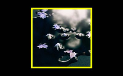 ZULI – Lambda