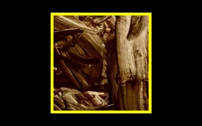 Davide Cedolin – 2022/2024 Unreleased Recordings pt.I