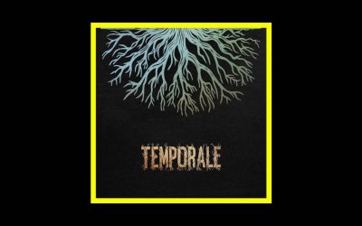 Gazebo Penguins – Temporale